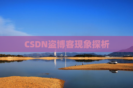 CSDN盗博客现象探析